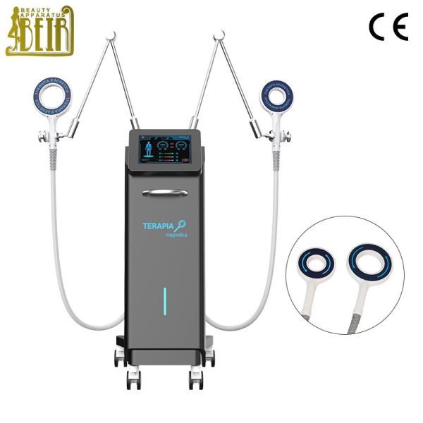 New product  TERAPIA Electromagnetic Transduction Therapy Magnetica